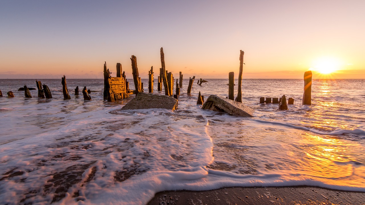 Exploring the Coastal Trails of Point Reyes